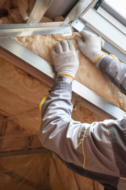 Best Insulation Maintenance and Repair in Manning, SC