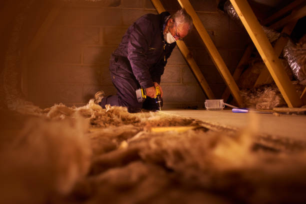 Best Insulation Installation Services in Manning, SC